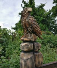 Adler aus Holz