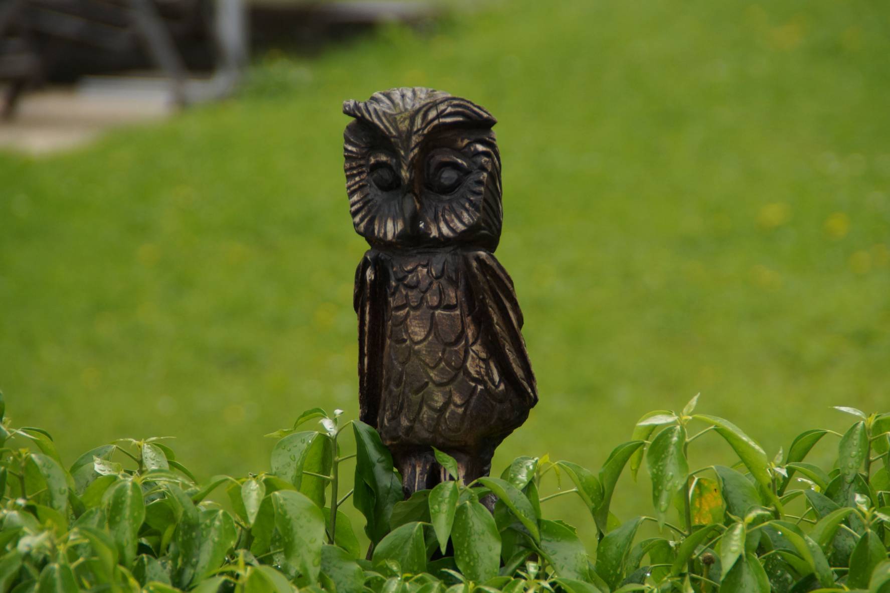 Kettensagenschnitzer Westerwald Holzfiguren Kettensagekunst